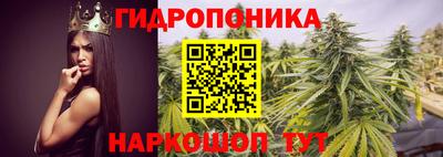 стафф Славянск-на-Кубани
