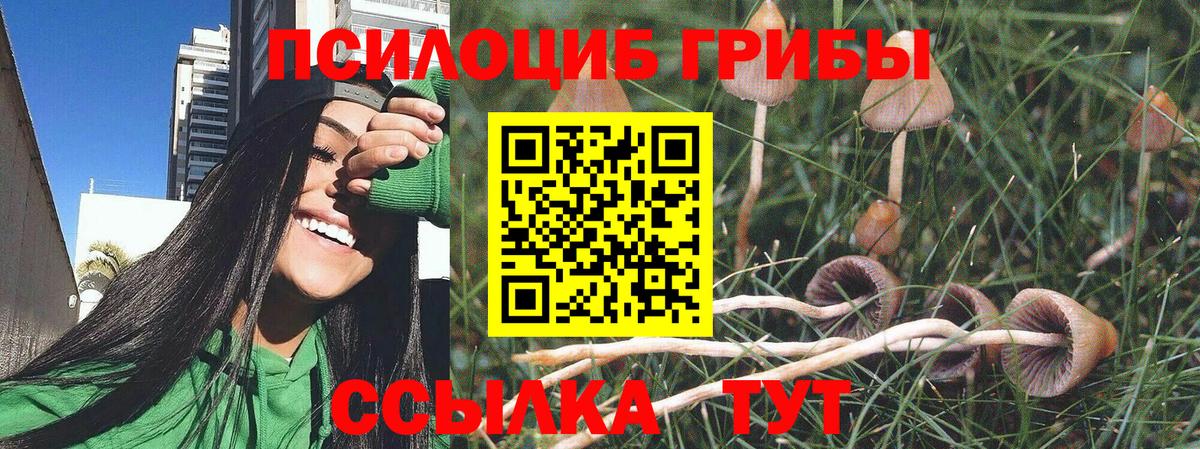 Галлюциногенные грибы MAGIC MUSHROOMS Краснокамск