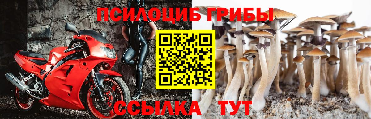 где продают наркотики  Псилоцибиновые грибы GOLDEN TEACHER  Вход с VPN  Краснокамск 